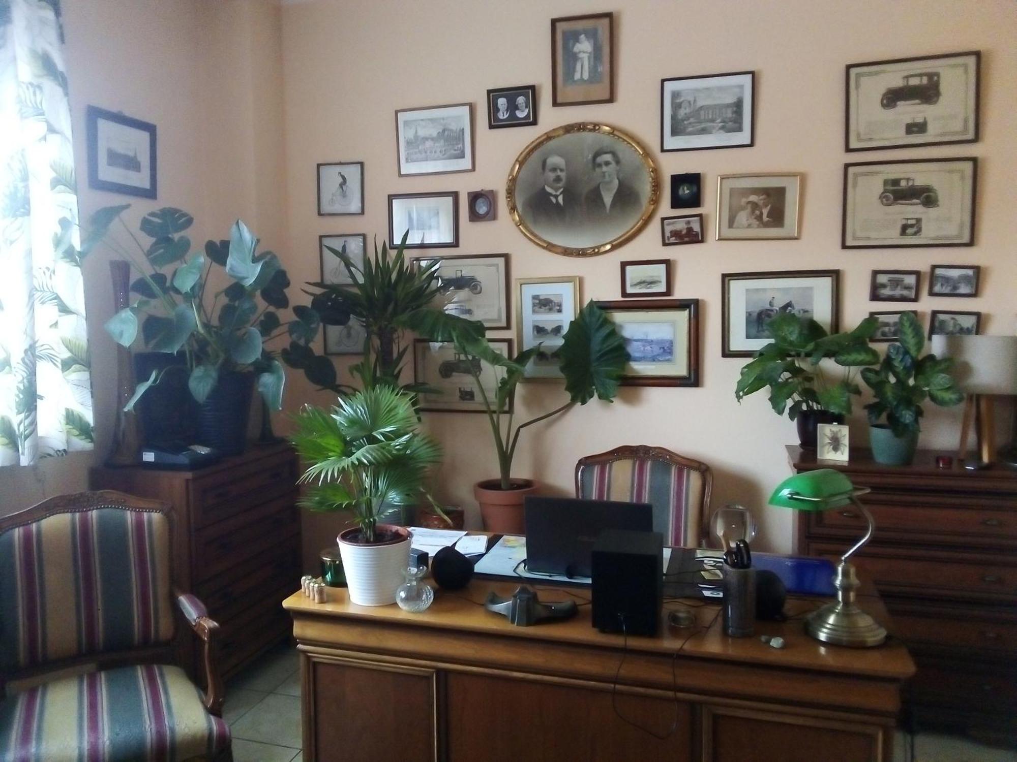 Villa Minerva Zielona Gora  Ngoại thất bức ảnh